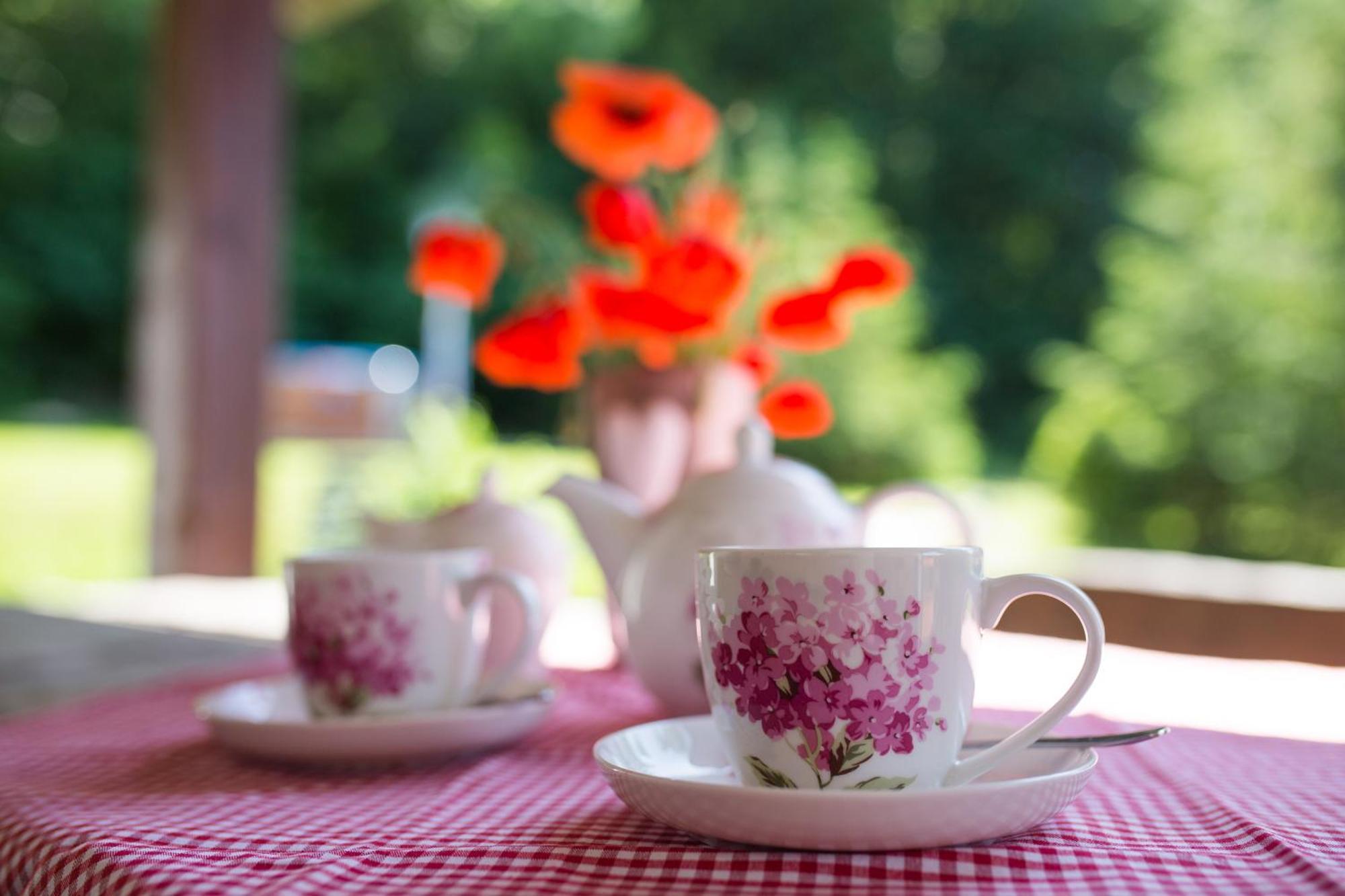 Gosciniec Malinowka Bed and Breakfast Krzeszna Buitenkant foto